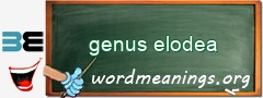 WordMeaning blackboard for genus elodea